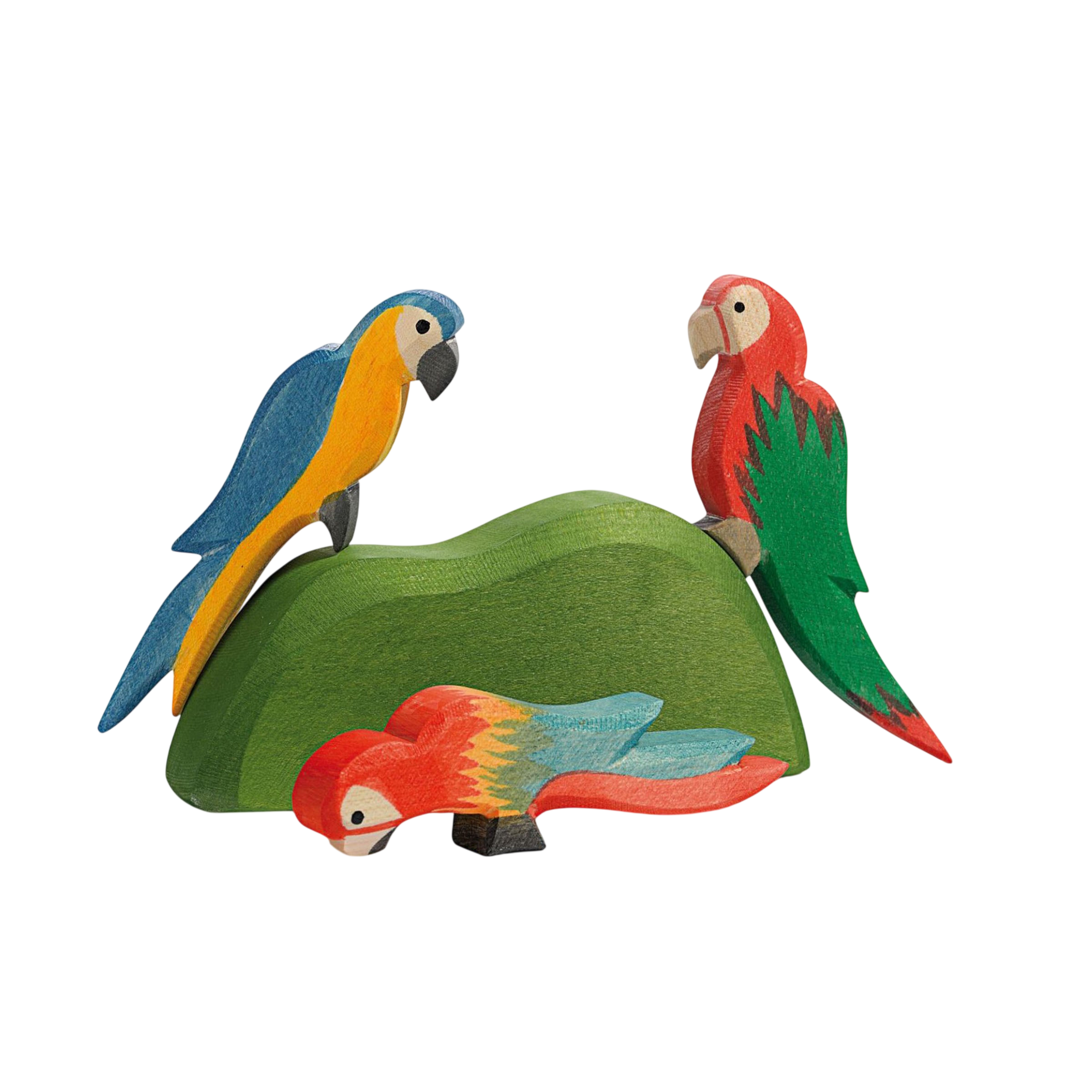 Ostheimer parrot red wood