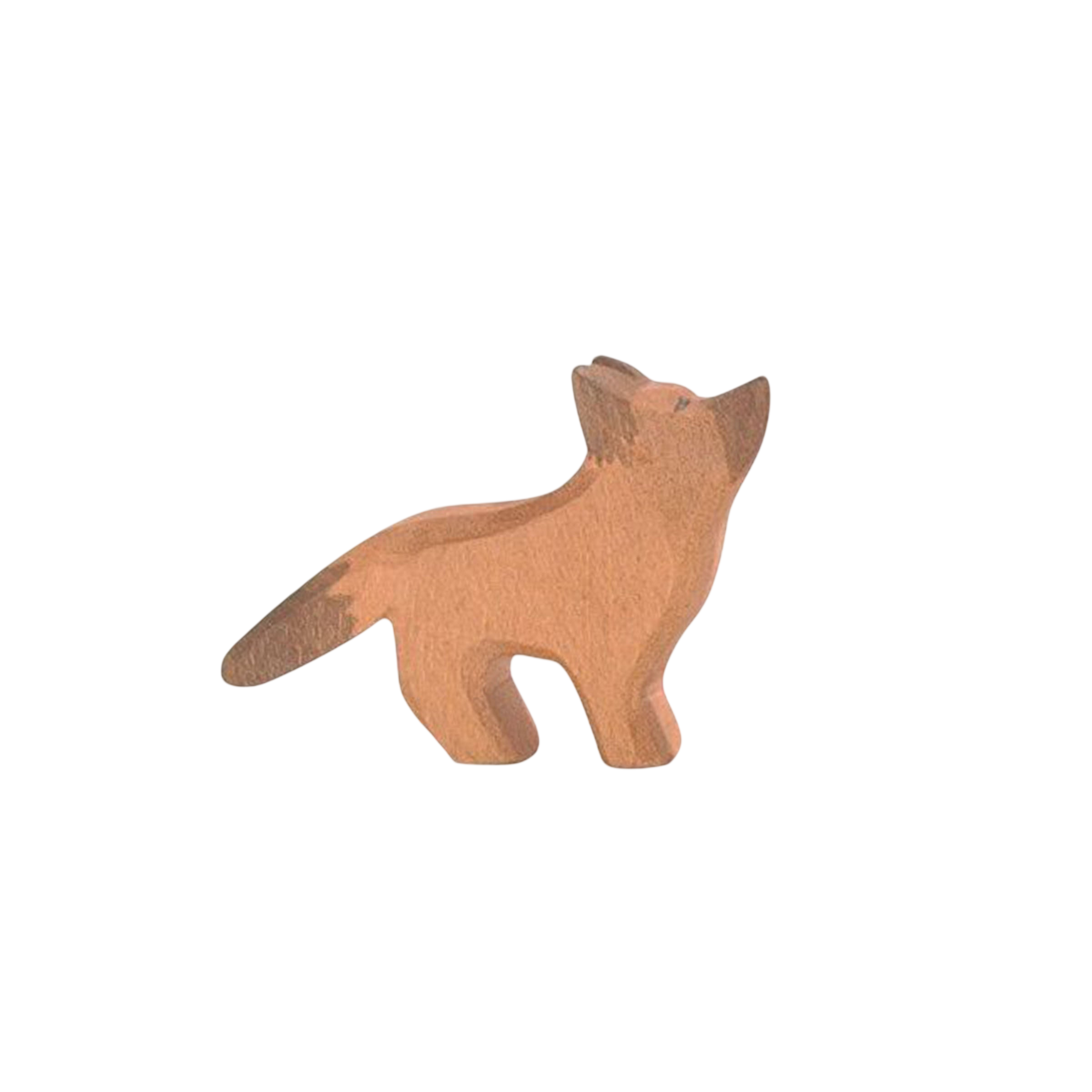Ostheimer Chien de berger petit bois