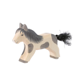 Ostheimer Shetland Pony laufend