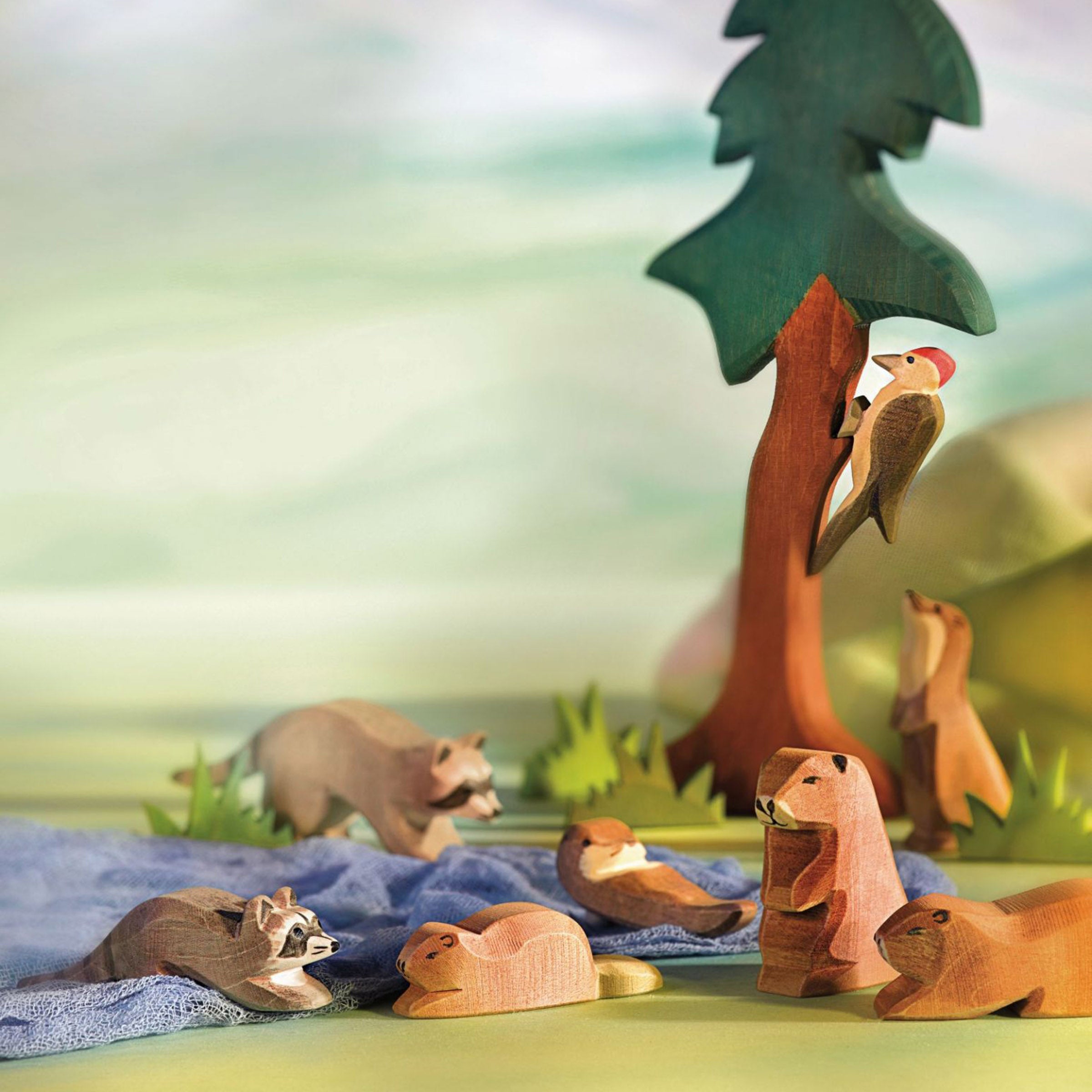 Ostheimer woodpecker wood