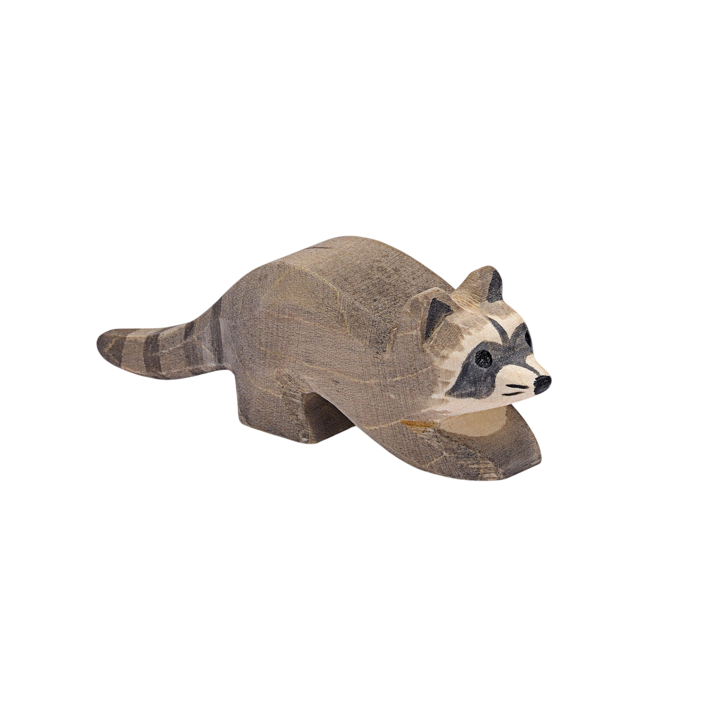 Ostheimer raccoon small wood