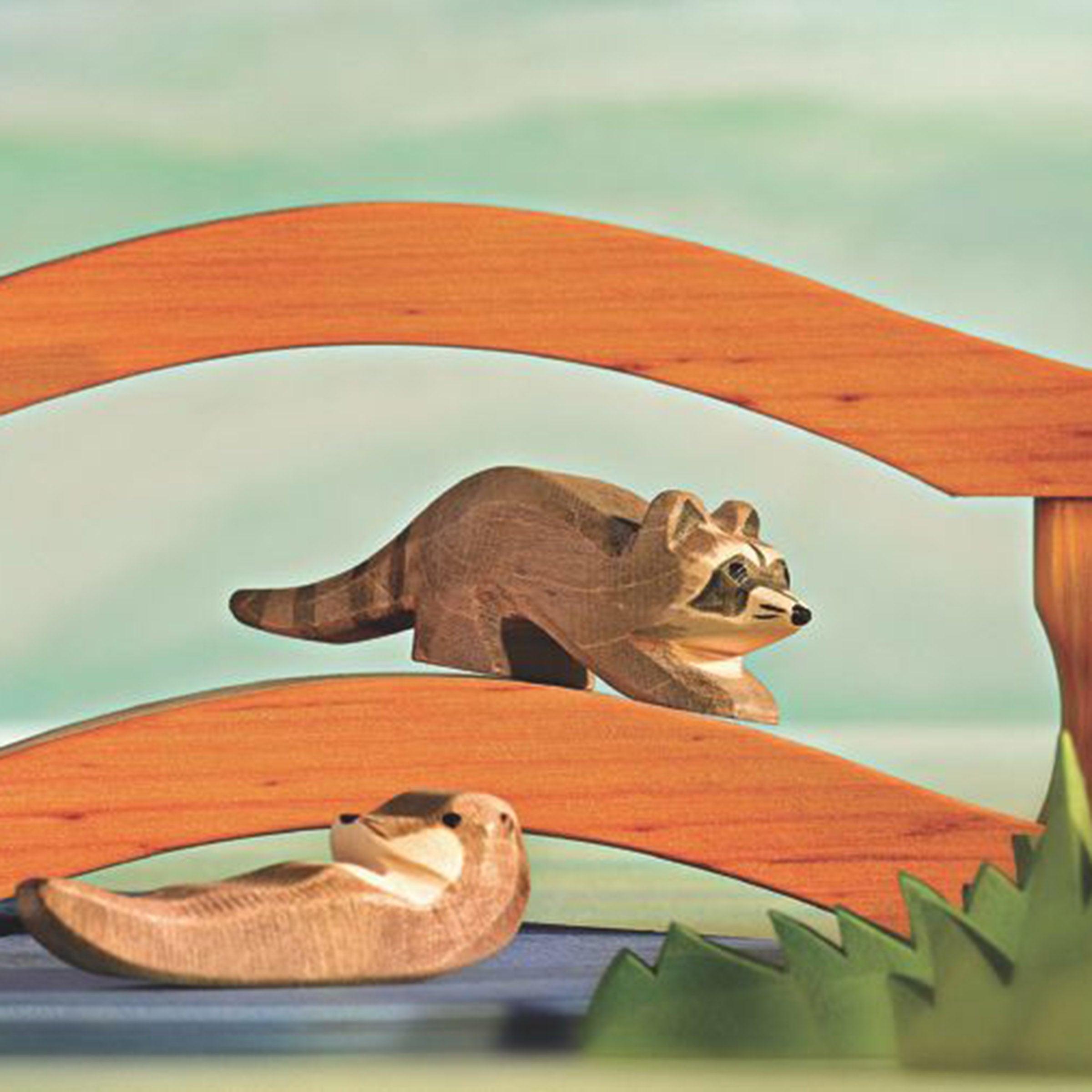 Ostheimer raccoon small wood