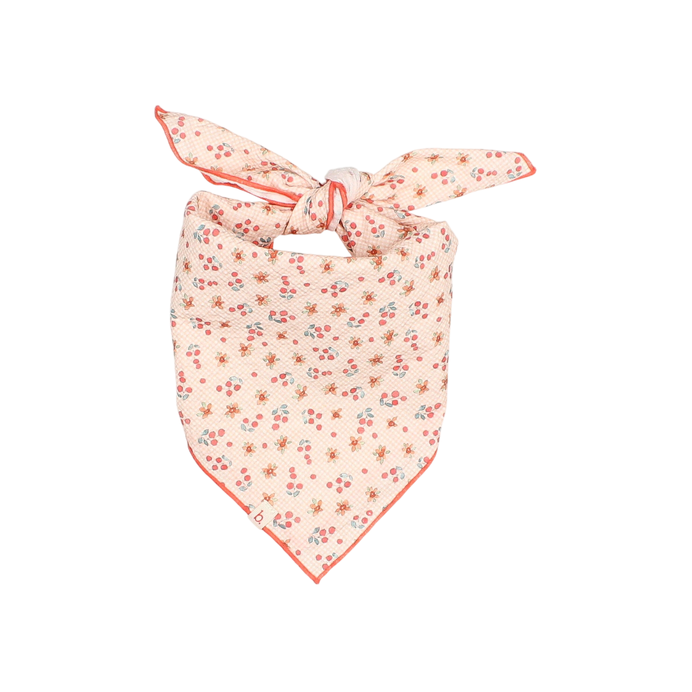 Bandana Picnic Coral