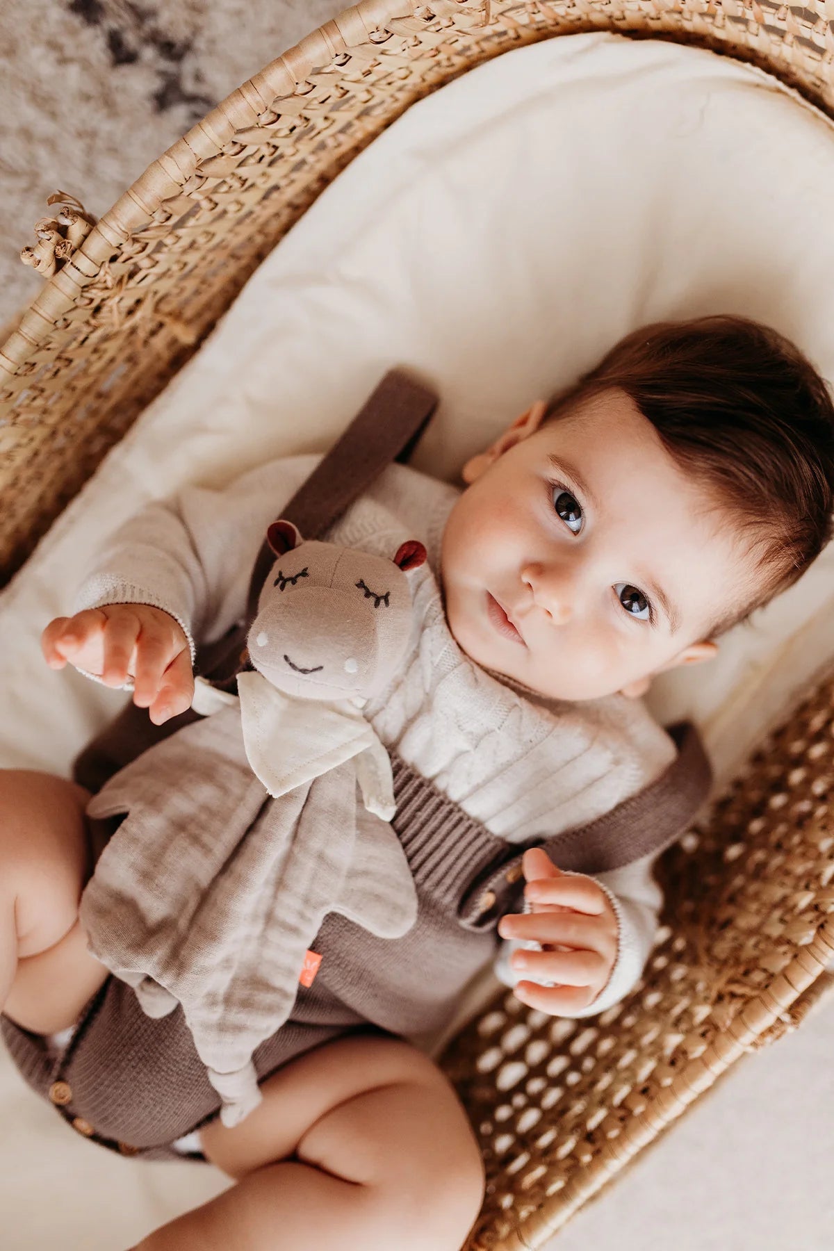 Doudou Hippo