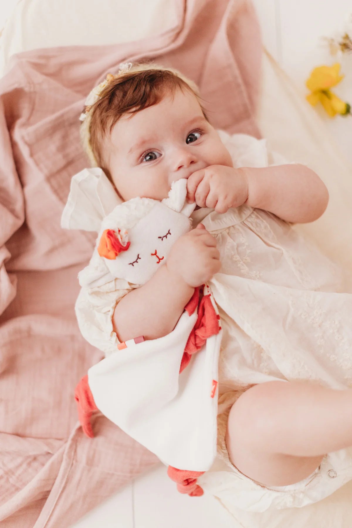 Doudou agneau
