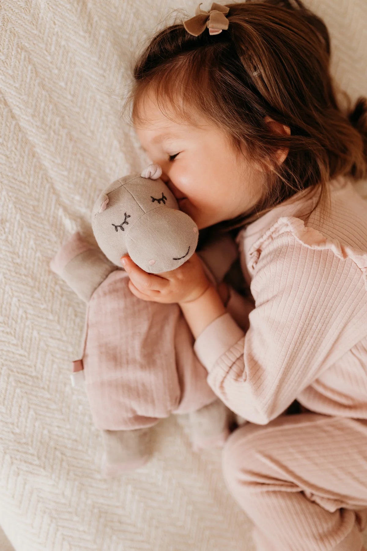 Hippo activity toy