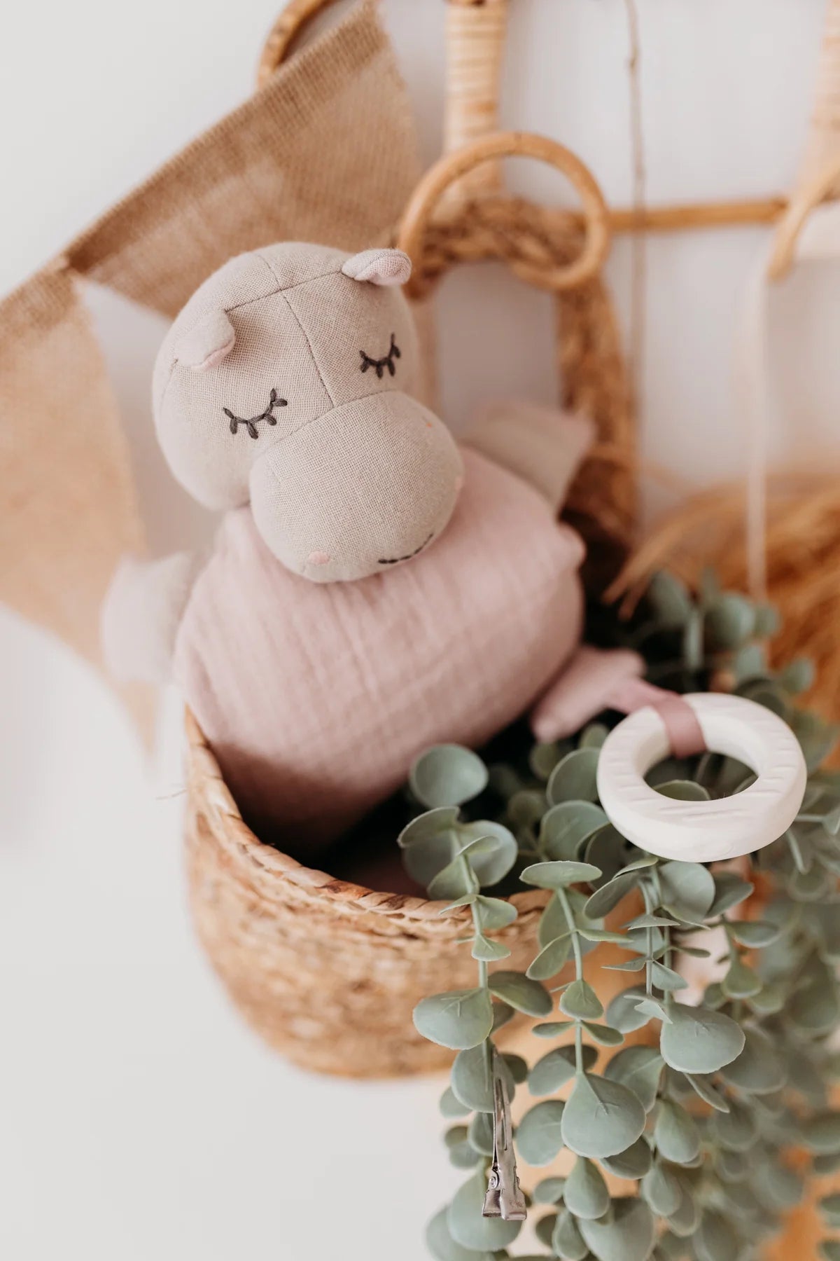 Hippo activity toy