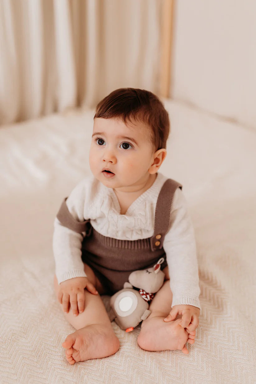 Fidget spinner Hippo