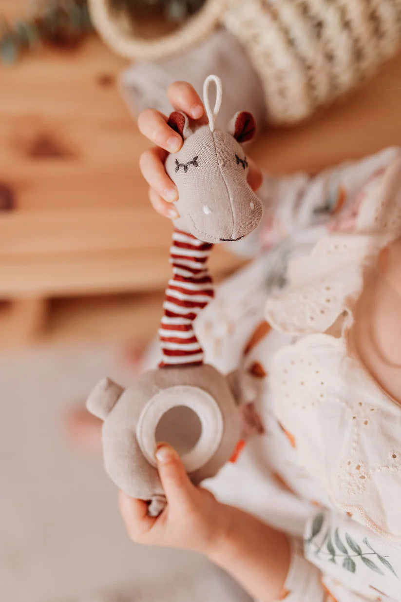 Fidget spinner Hippo