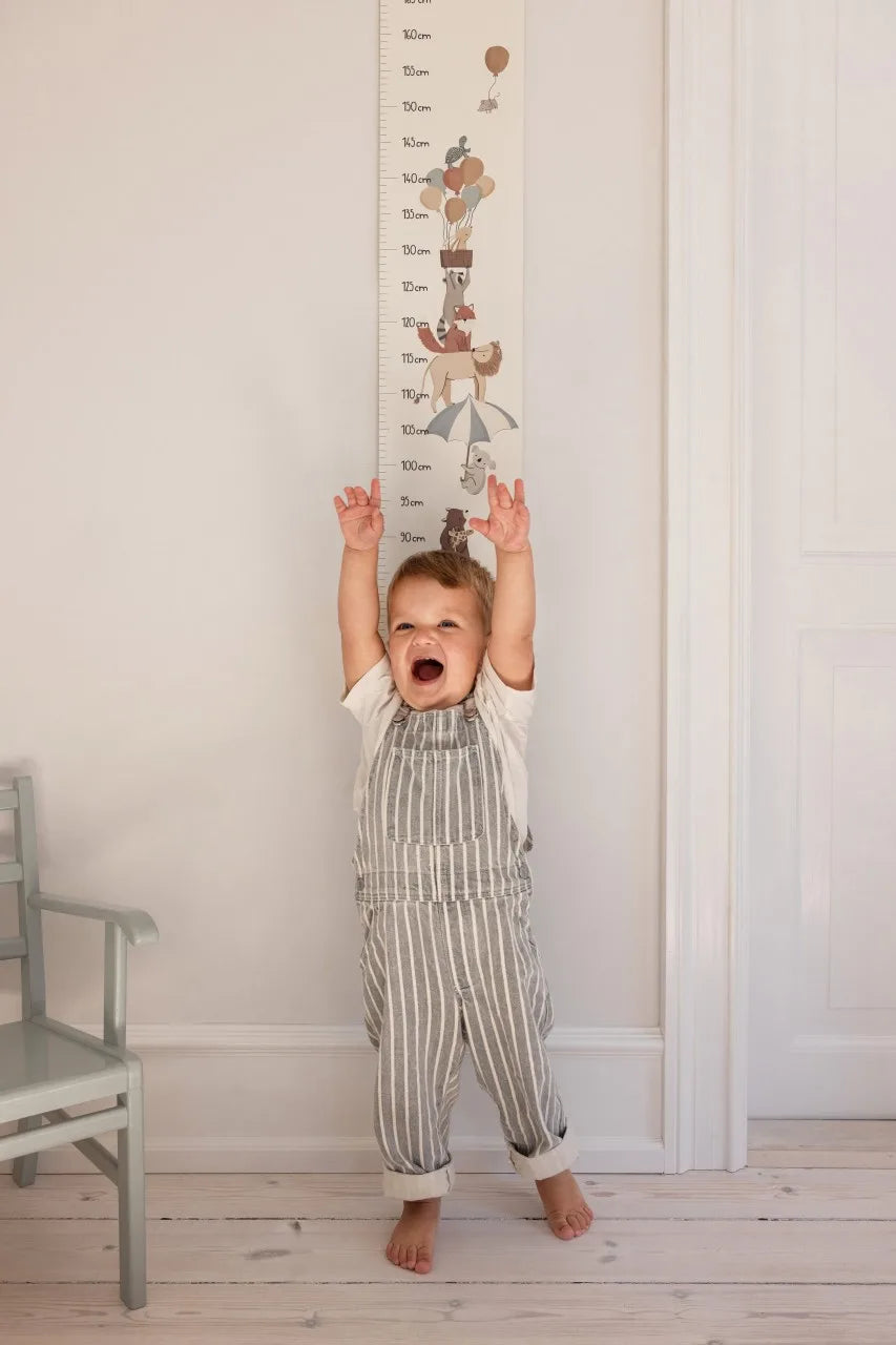 Kinder Höhenmesser World of Sebra