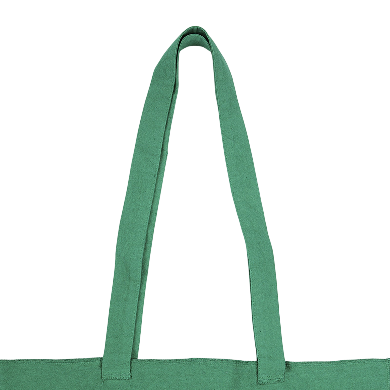 Living in a Shell green bag