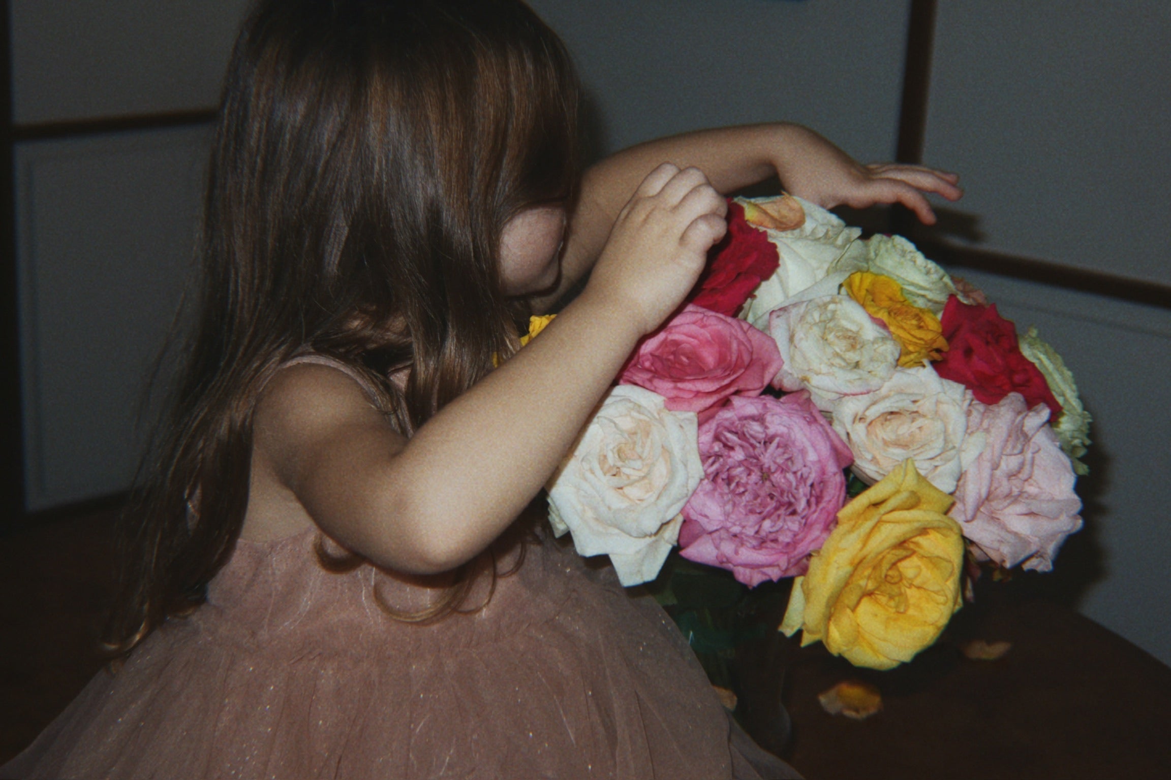 Robe Merle Frappe