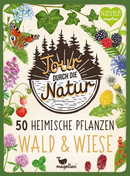 Tour durch die Natur – 50 heimische Pflanzen: Bestimmungskarten für Wald & Wiese