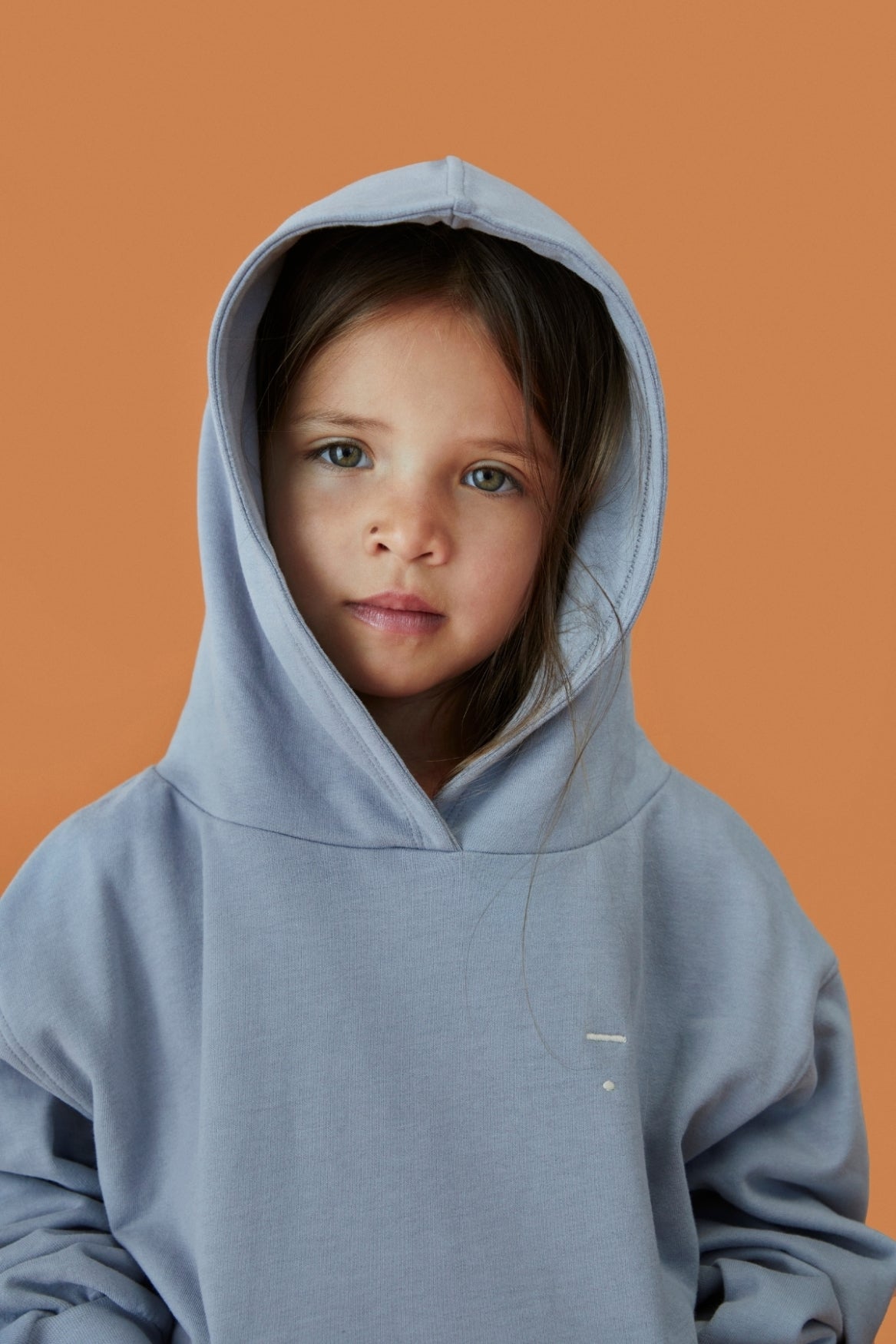Sweat à capuche GOTS gris pierre