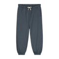 Pantalon Track bleu-gris