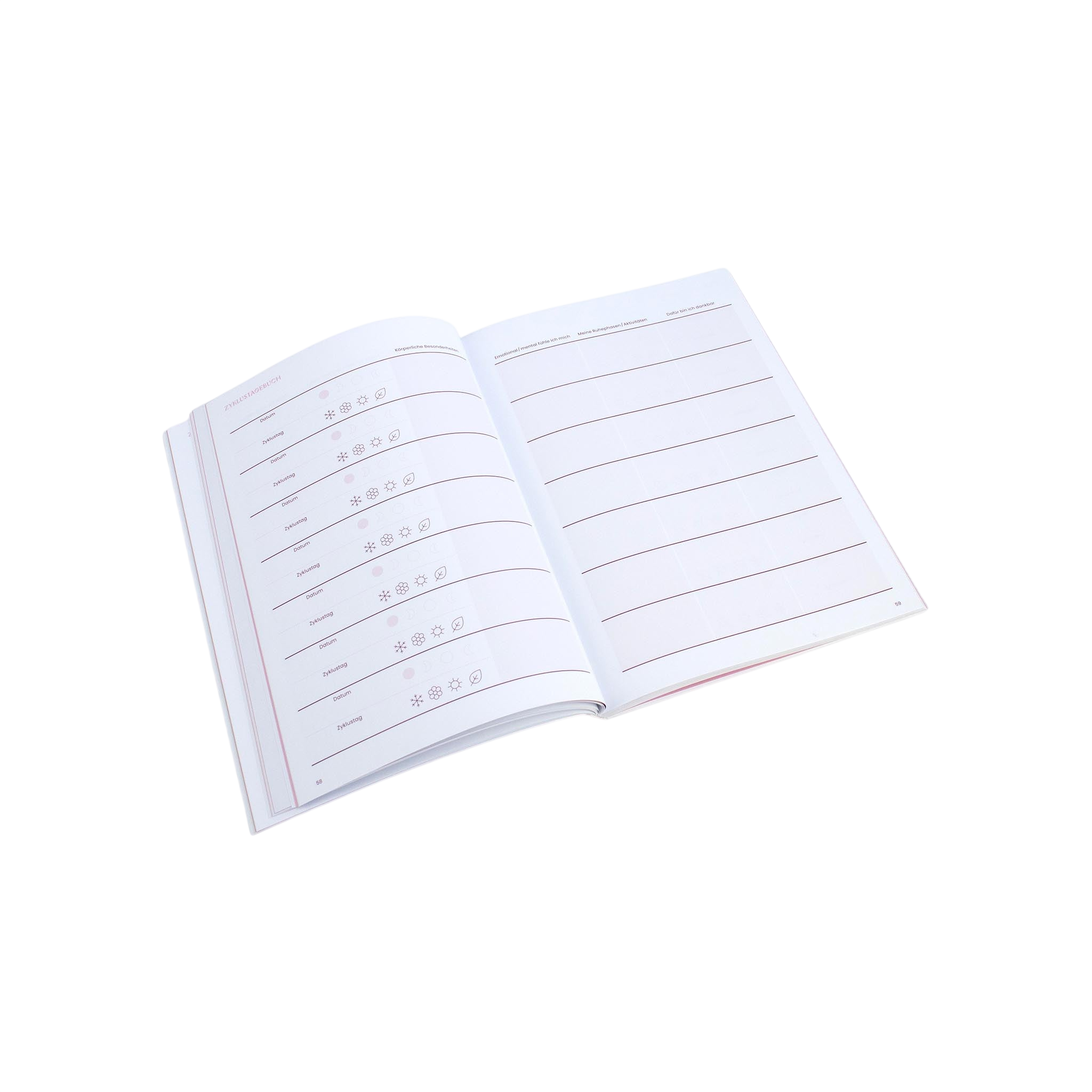 Zyklus Tagebuch