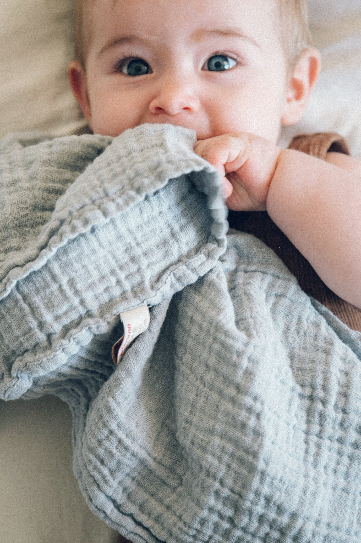 Nooshi Cuddle elephant