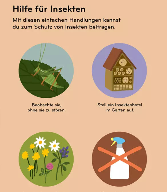 Insektorama