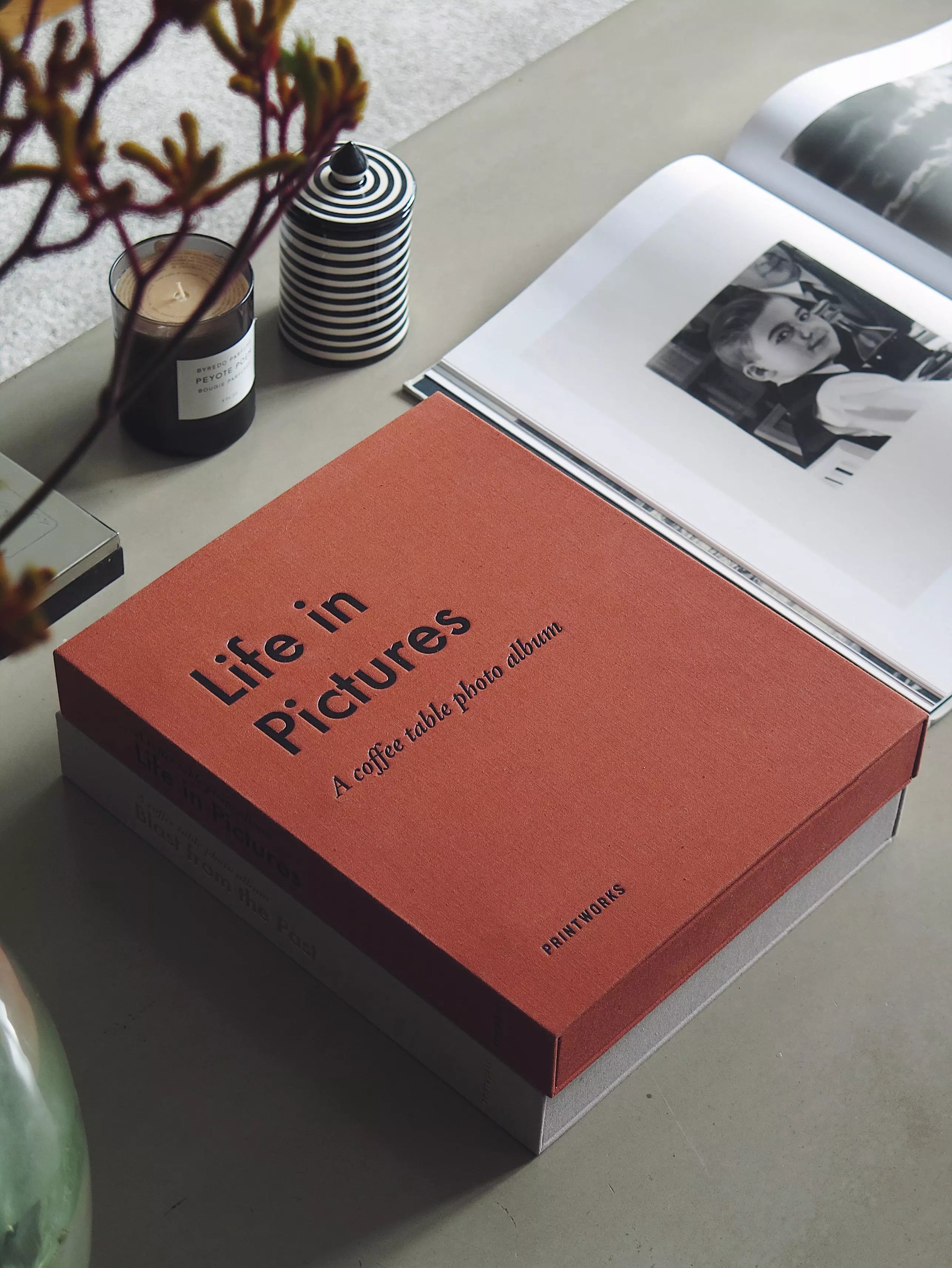 Album Life in Pictures