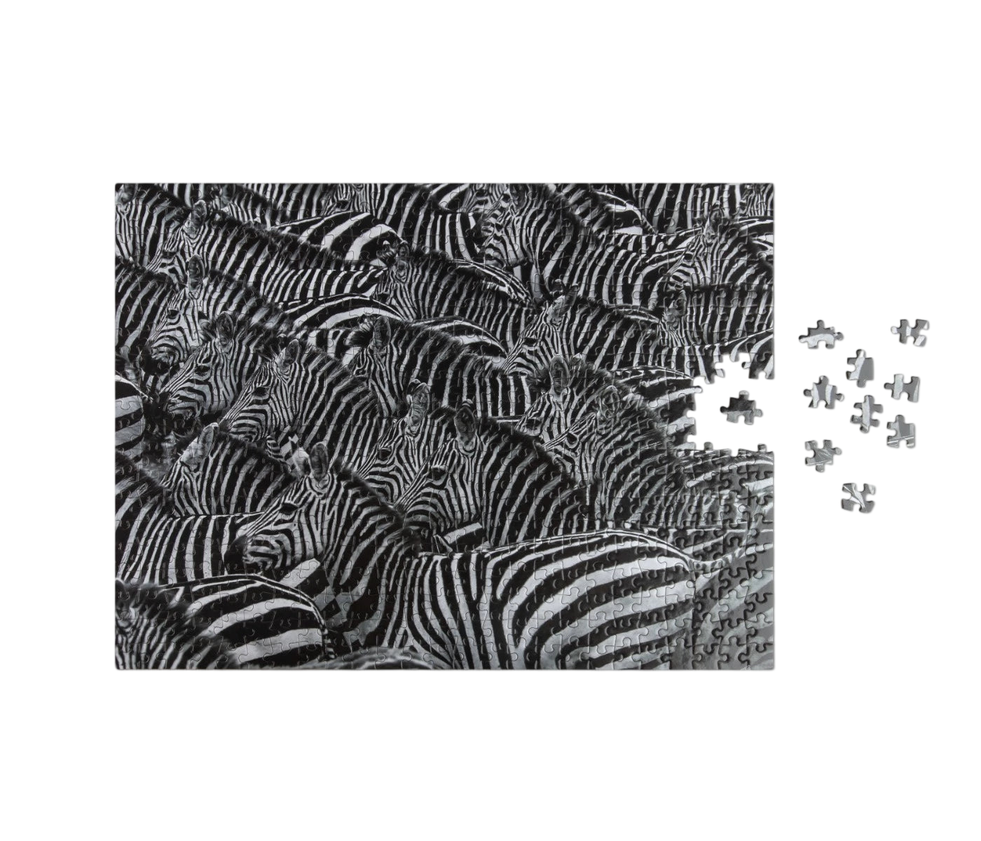 Puzzle Zebra