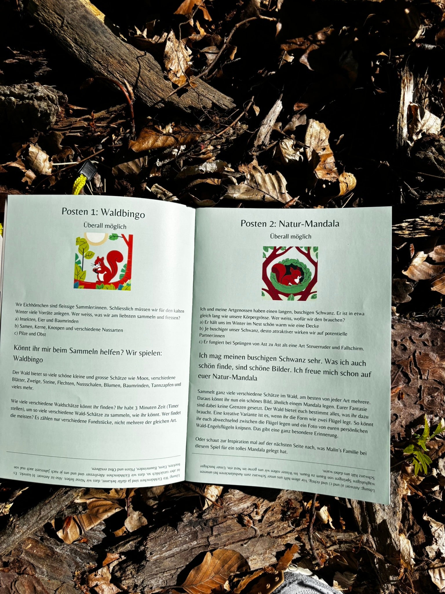 Family Set "Journey Through the Forest with Edda"