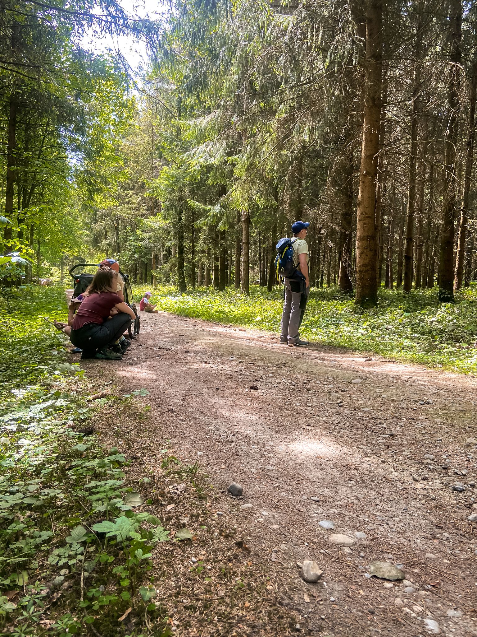 Schulklassen Set "Waldreise mit Edda"