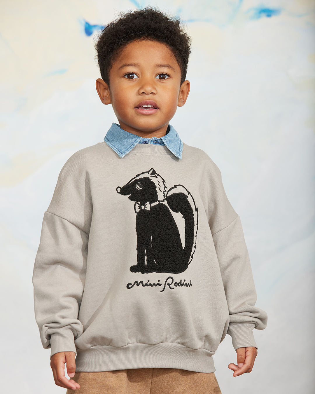 Skunk Grey Sweatshirt / Skunk Chenille Sweatshirt, Grey