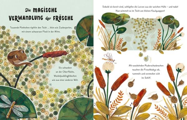 Les petits et grands merveilles de la nature