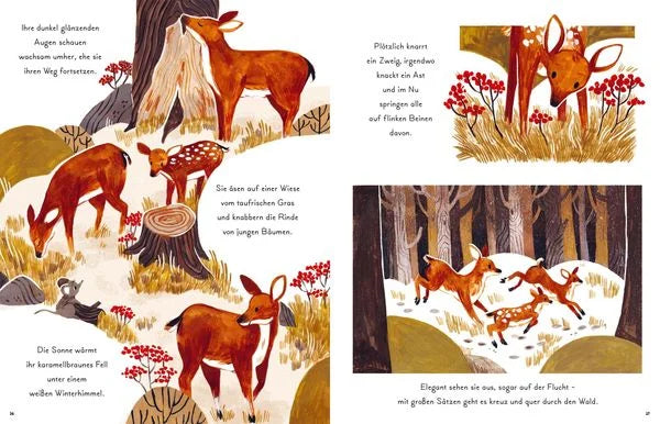 Les petits et grands merveilles de la nature