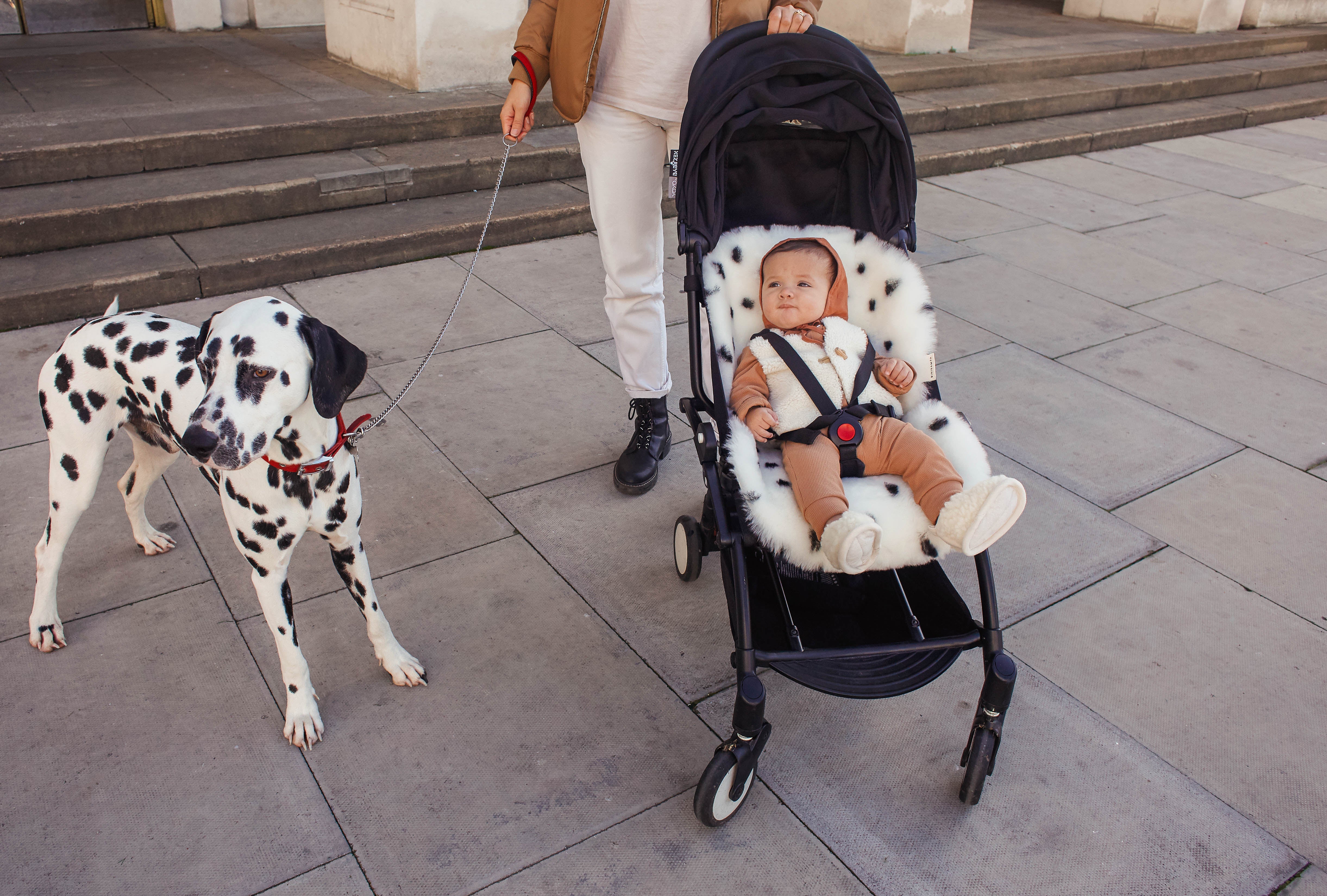 Coussin d'assise en peau d'agneau Binibamba Merino Fixed Harness Dalmation  / Coussin d'assise en peau de mouton Snuggler Merino Fixed Harness Dalmation
