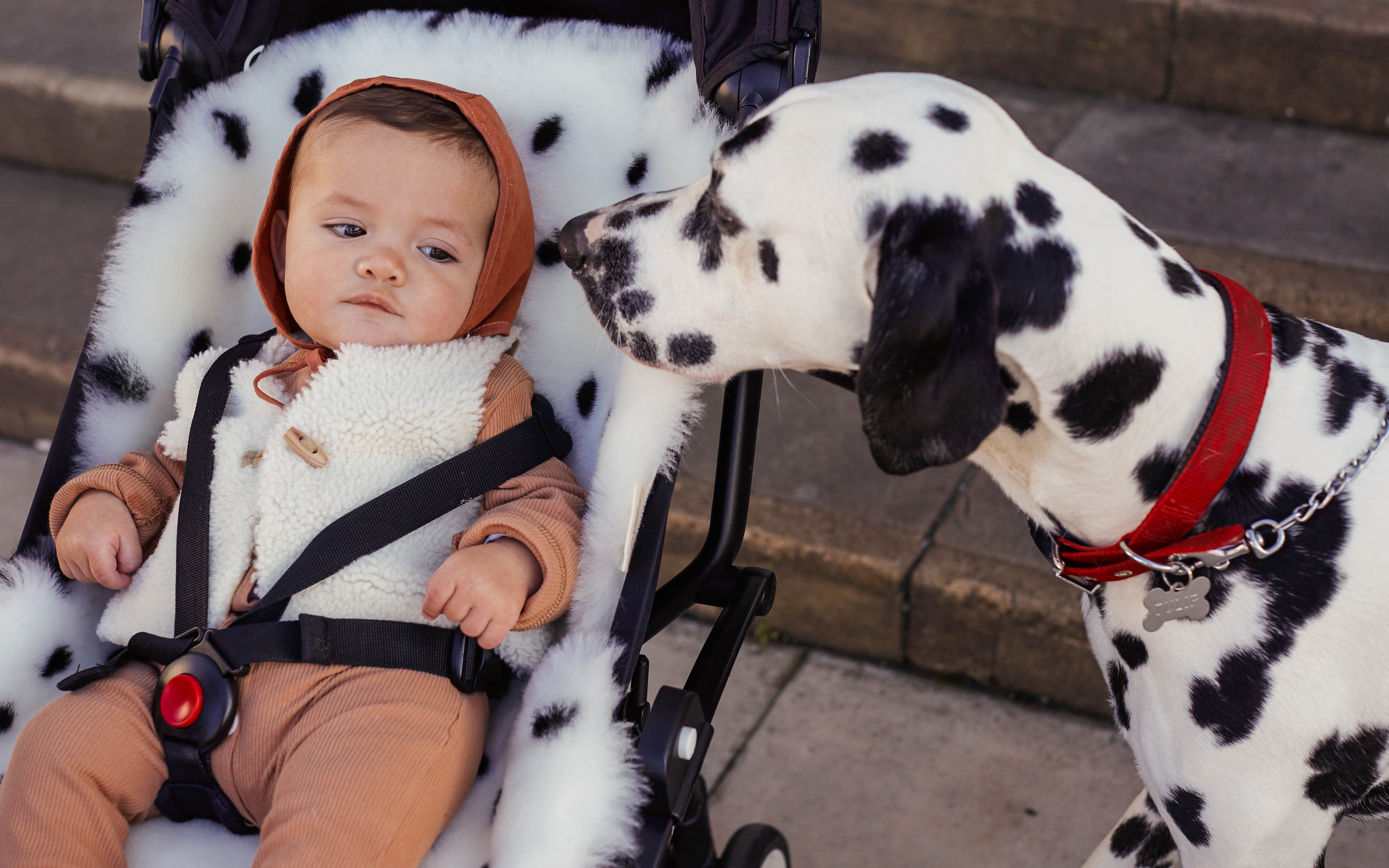 Coussin d'assise en peau d'agneau Binibamba Merino Fixed Harness Dalmation  / Coussin d'assise en peau de mouton Snuggler Merino Fixed Harness Dalmation