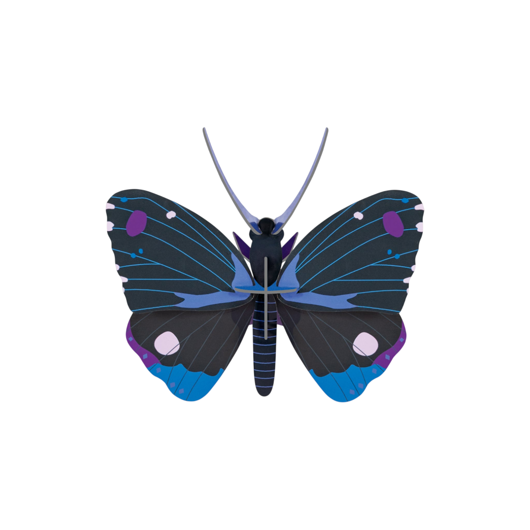 Blue Diadem Butterfly Craft Kit