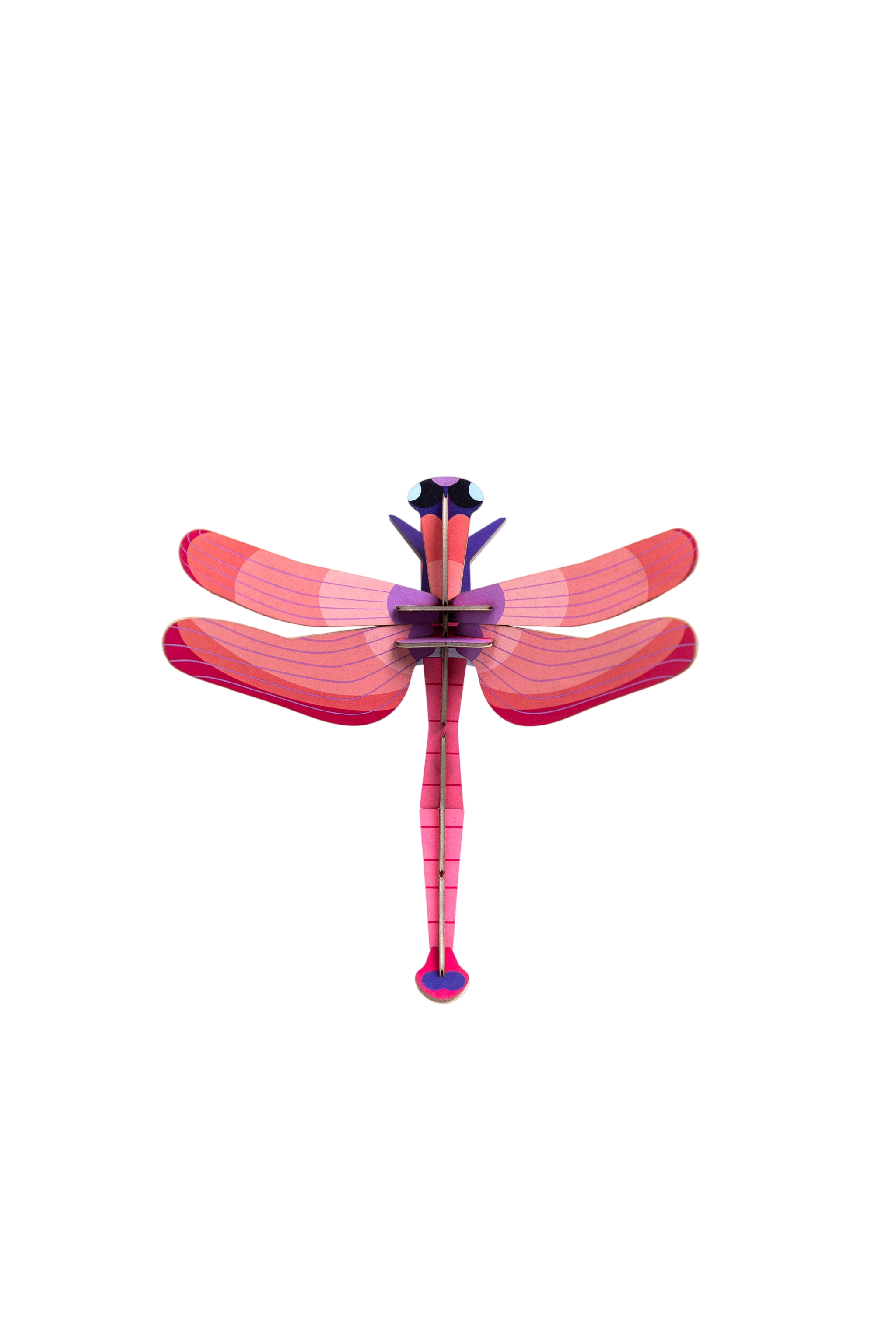Ruby Dragonfly Craft Kit