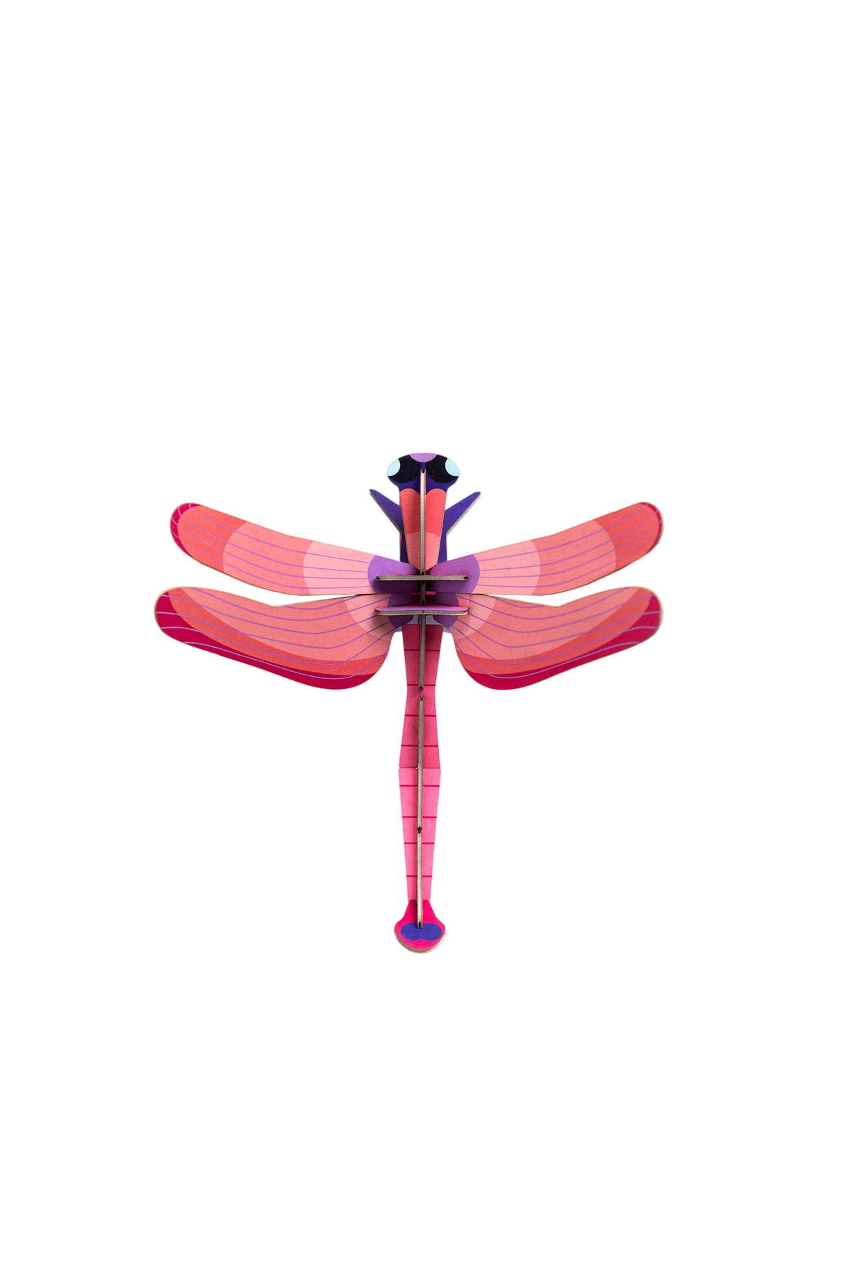 Ruby Dragonfly Craft Kit