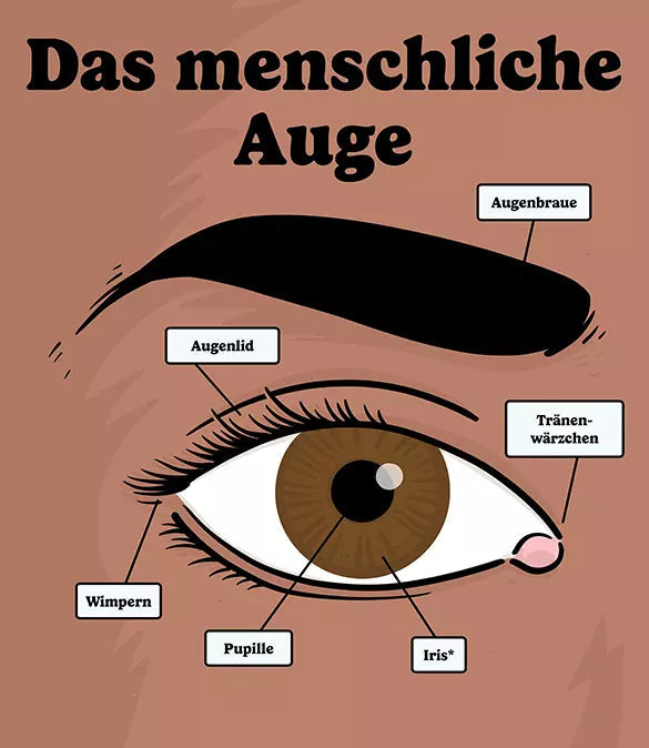 Book: Brilliant Eyeglasses