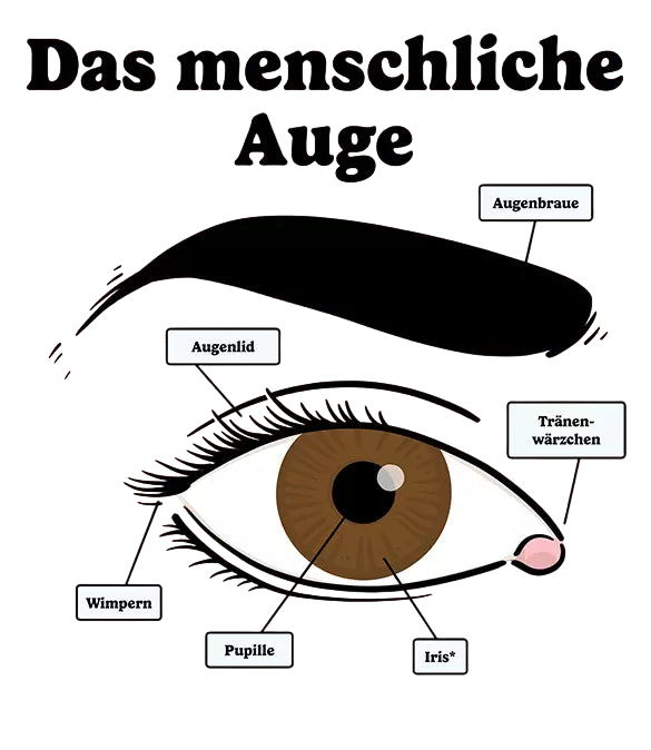 Book: Brilliant Eyeglasses