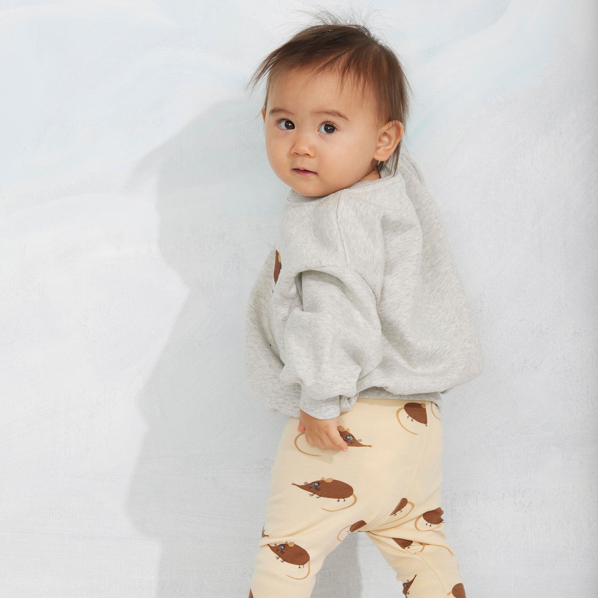 Sweatshirt Elephant Grey Melange