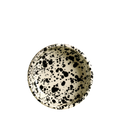 Teller Rim Plate Ecru / Onyx