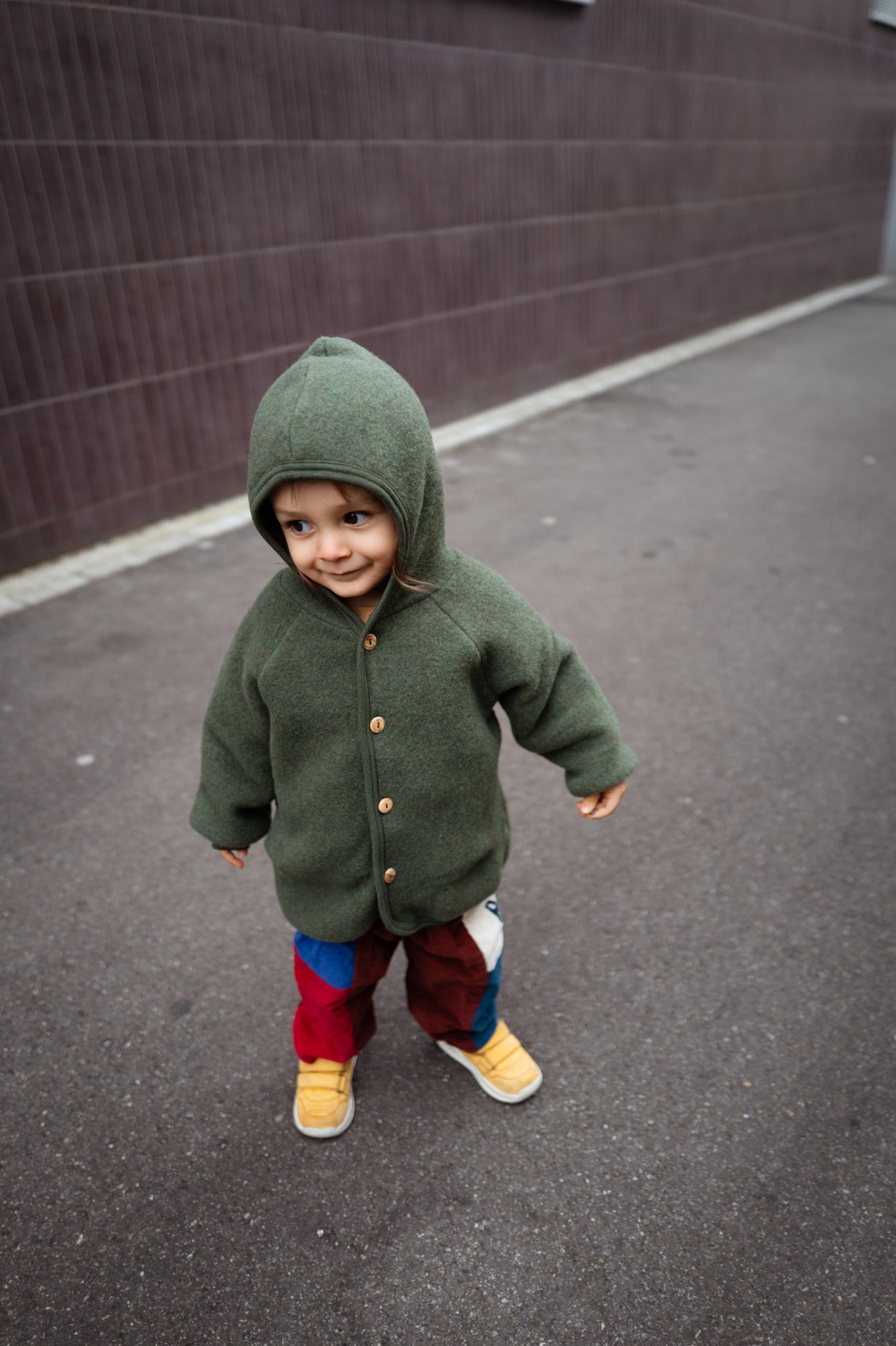 Veste à capuche en laine vierge, couleur roseau chiné