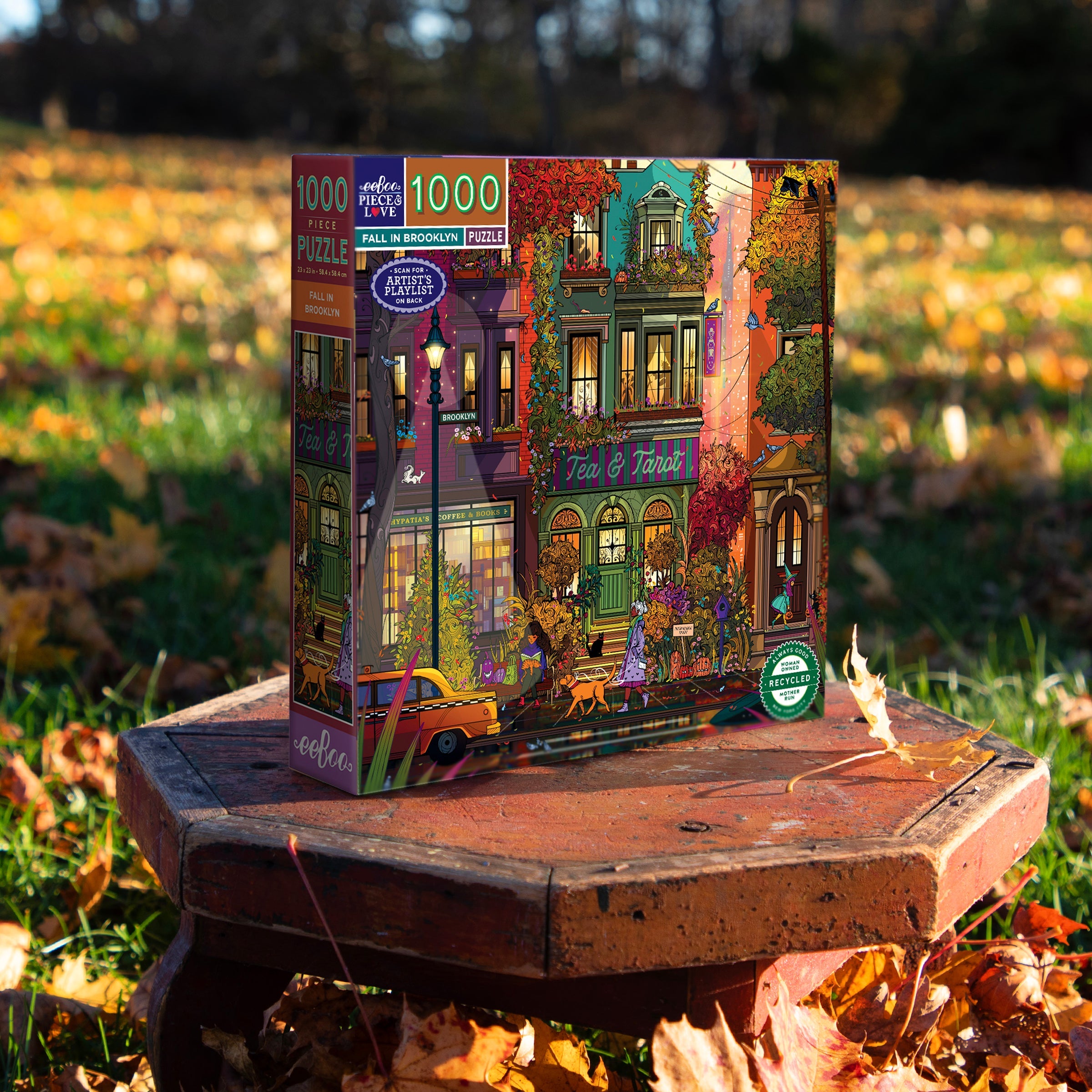 Puzzle Fall in Brooklyn