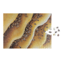 Puzzle Bees