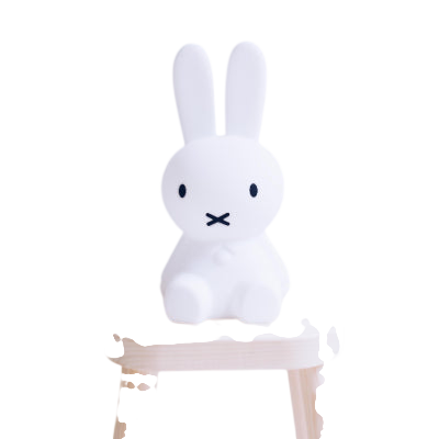 Miffy First Light