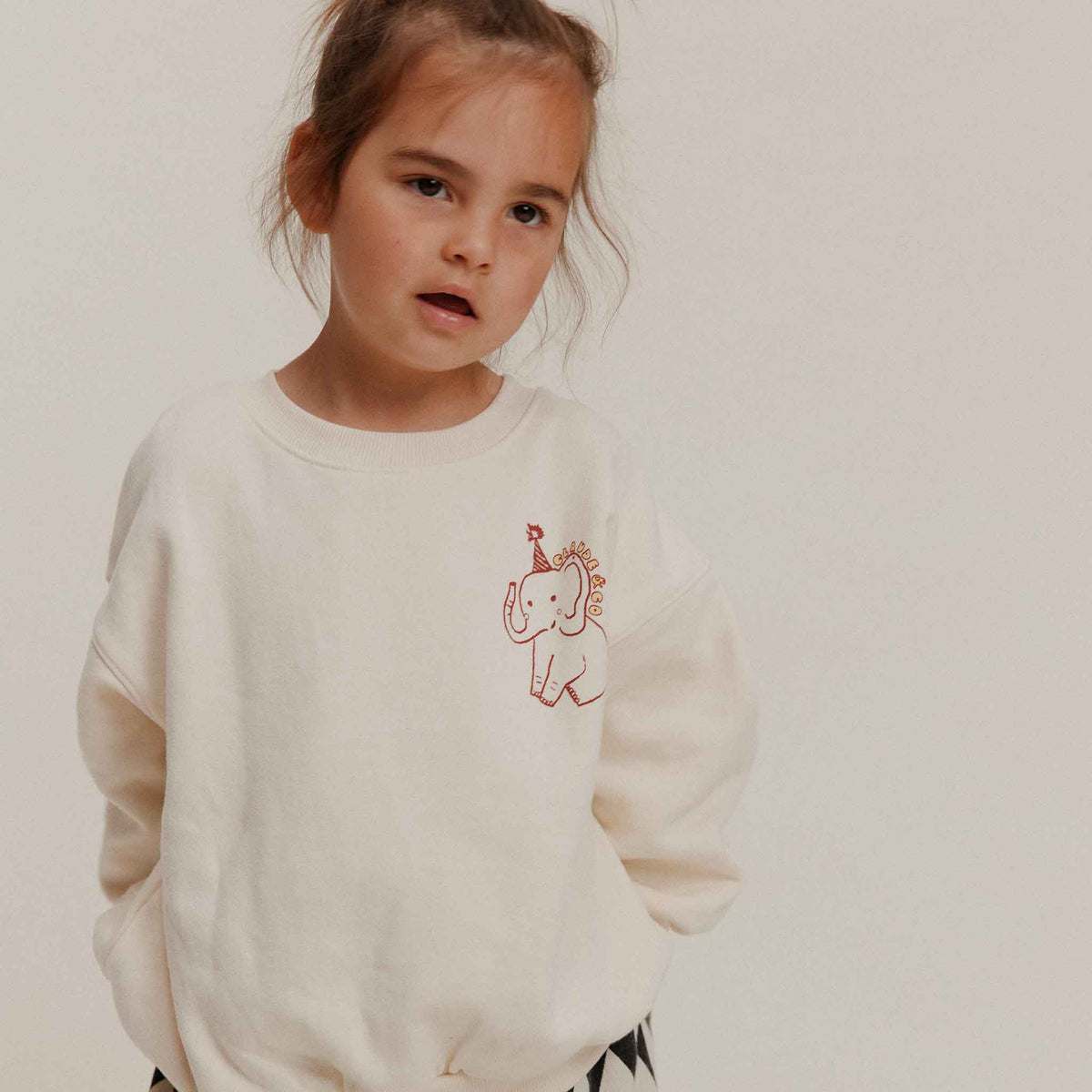 Sweat-shirt Carner « Claude's Curiosities »