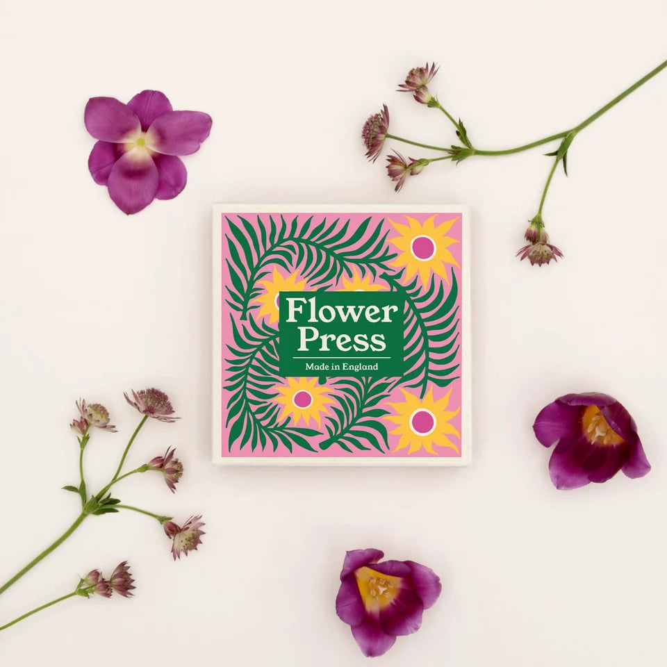 Presse à fleurs – Cardère