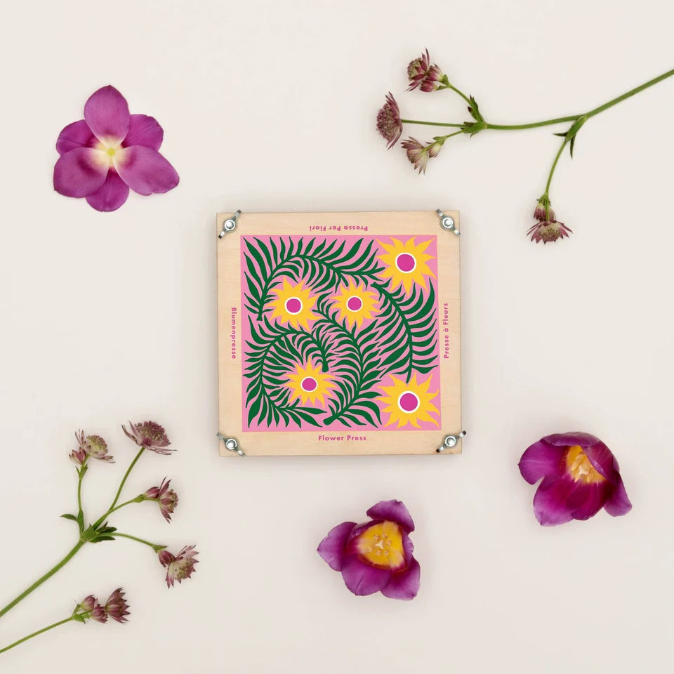 Presse à fleurs – Cardère