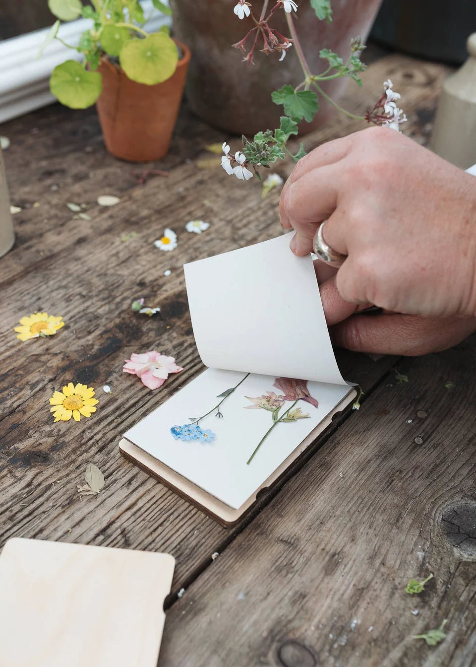 Pocket-sized flower press