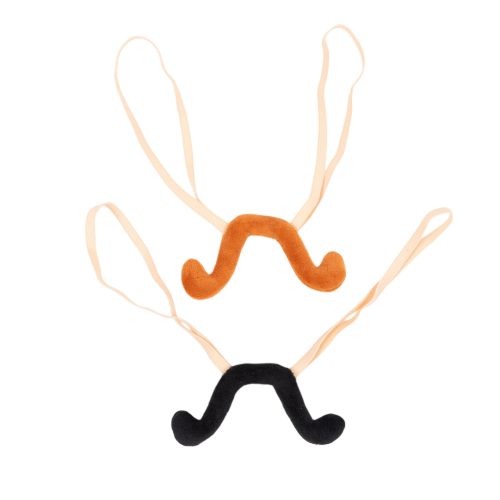 Ensemble de moustache de cirque vintage