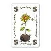 Kartenspiel Flora mit Wildblumen Seedball - Gorilla Gardening