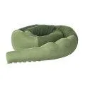 Bed Snake Sleepy Croc XXL, pine green