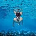 Premium Snorkeling Set black/clear/black